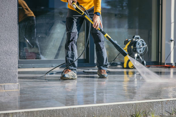 Best Fence Cleaning and Maintenance in Hayward, WI